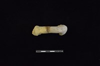 陶把藏品圖，第2張